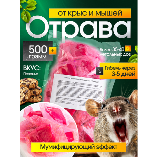 ���������� ��� ��� TomCat �����-������, �������� �� �������� (�����, ����) 500��, ���� �������