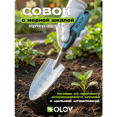 ���������� ����� ������� `OLOV ����` �������������, ����������, ����� � ������������ ������