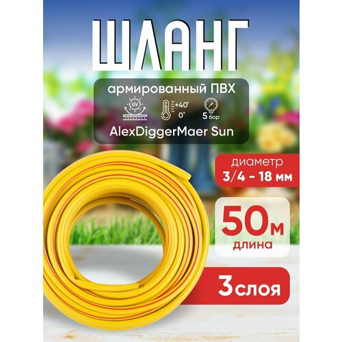 ���������� ����� ���������� ������������ 18 �� 50 �