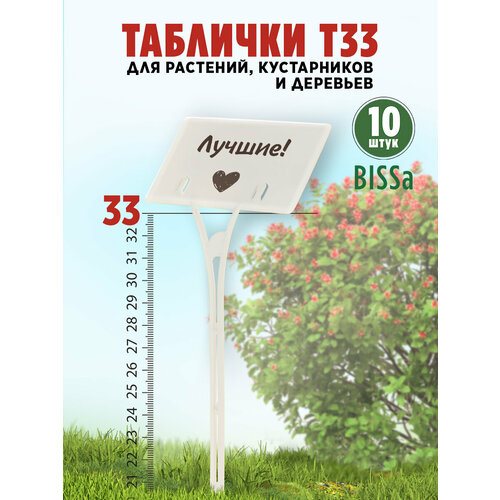 ���������� ������� �������� ��� ��������, Bissa �33, �����, 10 ��