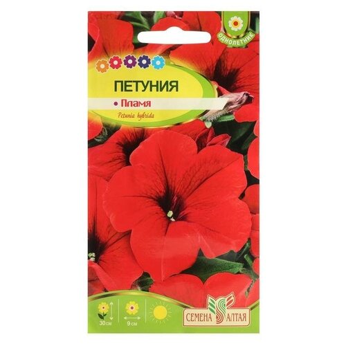 ���������� ������ ������ ������� 