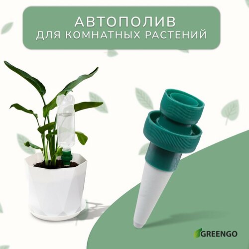 ���������� ��������� ��� ��������� ��������, ��� �������, ����� 2 ��, Greengo