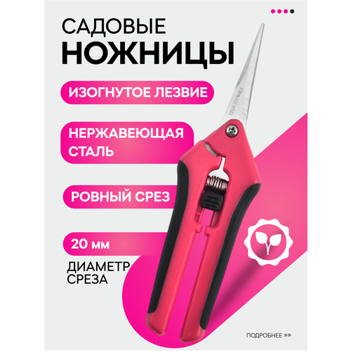 ���������� ������� ������� VasVas, � ���������� ��������, ��� ������ � ������, ����������������� �����