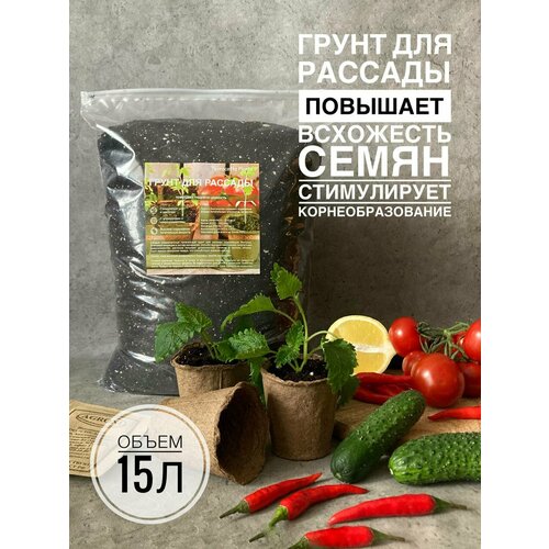 ���������� ����� ��� ������� 15 ������ � ���������� ������������� Terracotta Plants