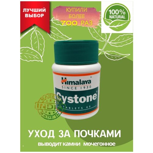 ���������� AYURVED-Cyston ��� ������. ����������� �������