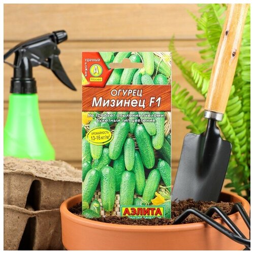 ���������� ������ ������ 