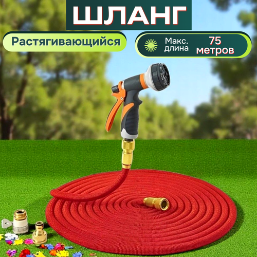 ���������� ����� ������� ��������������� 100 ������ ��� ������ � ������������/ 100 ������ ������� � ������������� �����������