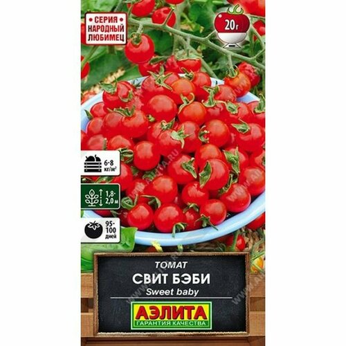 ���������� ������ ����� ���� ����, �����������, ������������, (������) 20�� �������� �������