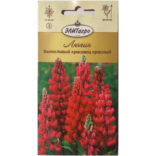 ���������� ����� ���������� �������� ������� (0,3 �), 2 ������