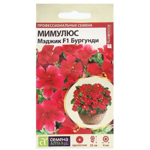 ���������� ������ ������� ������ �������� 10�� ��� 25�� (������ �����)