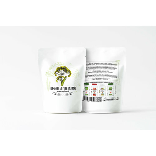 ���������� ���� ���������� 10 �����