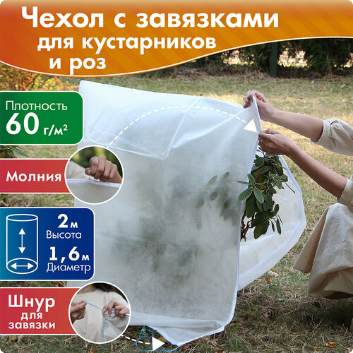 ���������� ����� ��� ����������� � ��� ������ 2 �, ������� 1,6 �, �����