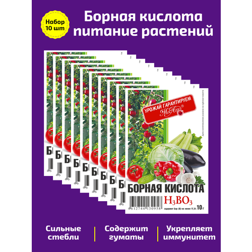 ���������� ������� ������� ����� 10*10 ��. �������� �������������� ��� ������� � �������������� ��������