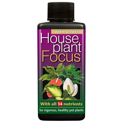     Houseplant Focus Growth Technology 100 .   , -, 