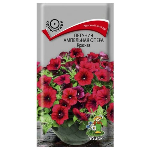 ���������� ������ ����� ������� ��������� ����� ������� 5 ��.