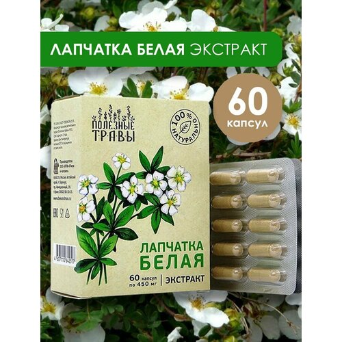 ���������� �������� �����, �������� ��� ���������� ������ 60 ������