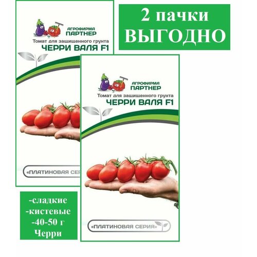 ���������� ������ ����� ����� ���� ��������� �������(2 ��������*5 ���� �����)