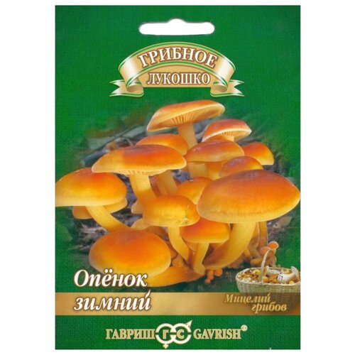 ���������� ������� ������ ������ ������ ������ �� ��������� ������� 12 ��