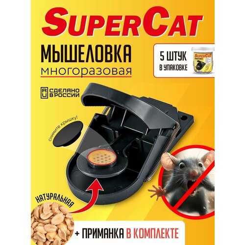 ���������� ����������� ��������� SuperCat, 5 ��.