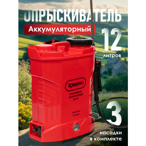 ���������� ������������� �������������� ZORGEPRO 12�