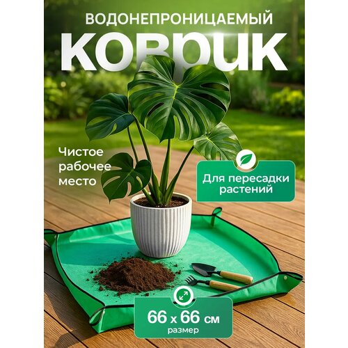 ���������� ������ ��� ��������� �������� iulkapu, ��� �������, �������, ����������, 66 �� � 66 ��