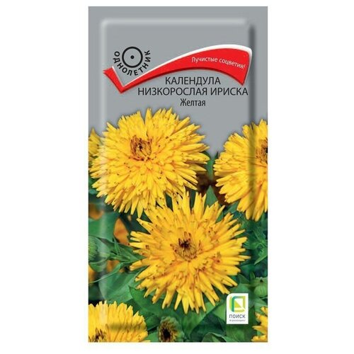 ���������� ������ ��������� ����������� ������ ������, 10 ��, 0.1�