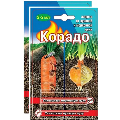 ���������� ������, �������� �� ������� � ��������� ���� (4 ������ �� 2 ��). ��� �������� ��������� ���������, �������� ��� ������� �������