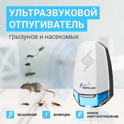 ���������� ������������ ��������������, �����, ���������, ��������, ����, ���������