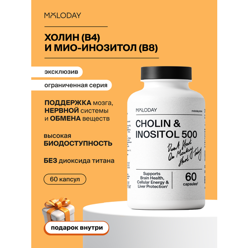 ���������� ����� � �������� Moloday, ��� ����� � ������, 500+500��, 60������