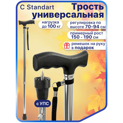 ���������� ������ ������� C Standart c ���������������� �������� Ice Tip, ����