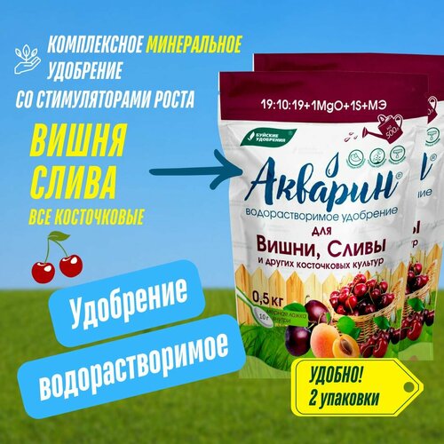 ���������� ��������� ������� ��� �����, ����� � ������ ����������� �������, 2 �������� �� 500 �� (1 ��), ������� ���������