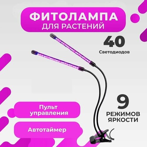 ���������� ��������� �� ��������, 2 ������ �����, ������, 3 ������ ������