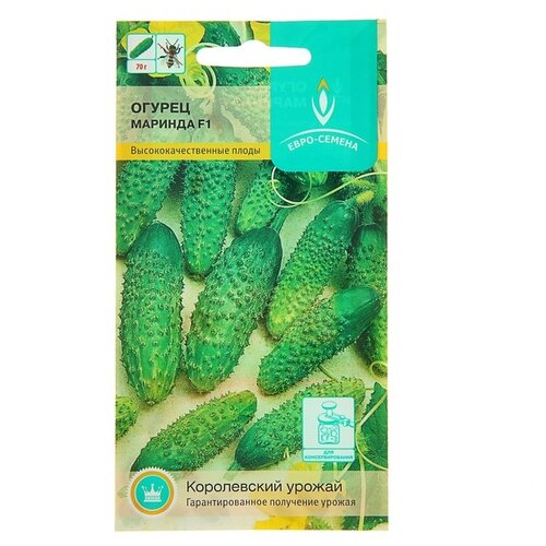 ���������� ������ ������� F1. ������. 1 ����� 10 ��. ����� ���������� �������������� ������������� ����������� ��������.