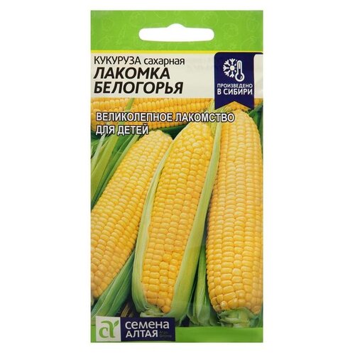 ���������� ������ ������ ����� �������� ������� ���������, 5 �