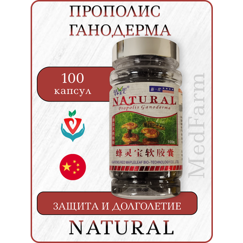 ���������� �������� �������� � ���������, Propolis Ganoderma Natural, 100 ������