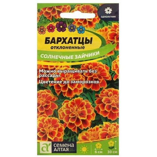 ���������� ������ ������ �������� 