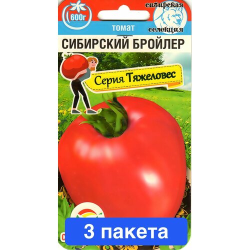 ���������� ������ ������ ��������� ��� 