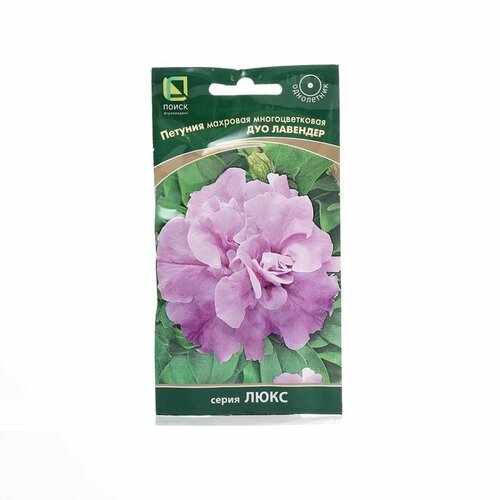 ���������� ����� ������ ������ ������� �������� �������������� 