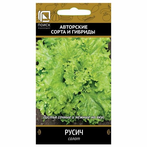 ���������� ������ ����� ����� �������� 1� (�����) �����