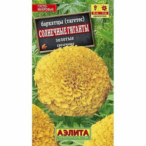 ���������� ������. �������� 