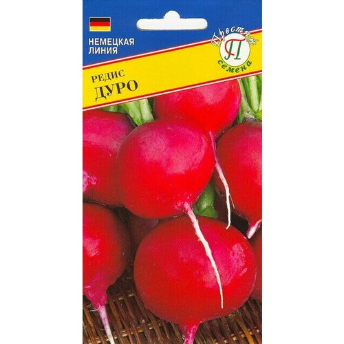 ���������� ����� ����. ������������ ����. ��������� �������� �����, �������, ��������� � �������� �� 10 ��, ������ 18-25 ��.