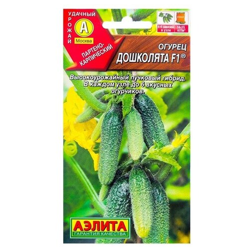 ���������� ������ ������ 