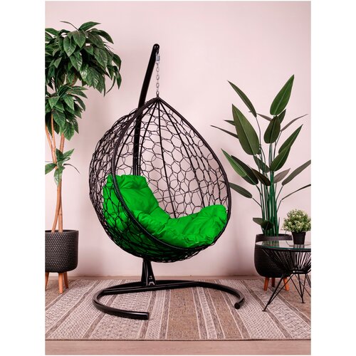 ���������� ��������� ������ M-Group ����� ������ �����, ������ �������