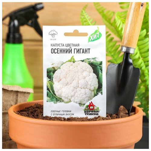 ���������� ������ ������� ������� 