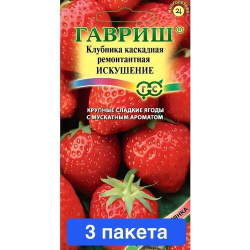 ���������� ������ ������ ������ 