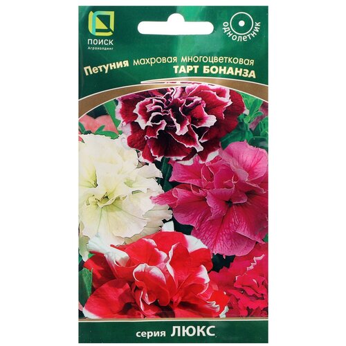 ���������� ������ ����� ������� �������� �������������� ���� �������, 10 ��