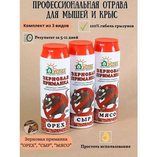 ���������� ������ ������ ��� ����� � ����, 3 ��