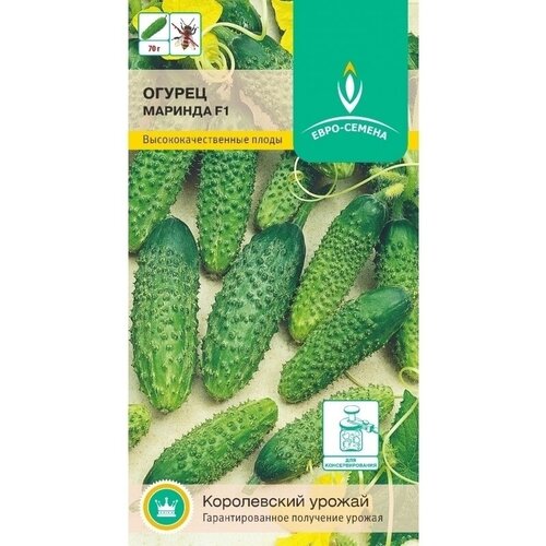 ���������� ������ ������� F1. ������. ����������� ���� ��� ��������� ������ � ��������� ������. ���������������� ��������� 9-10 ��. ������, ��� ������