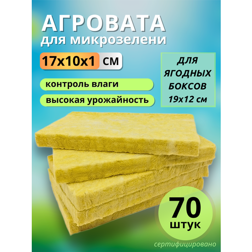 ���������� �������� ��� ����������� �����������, 17x10�1 ��, 70 ����