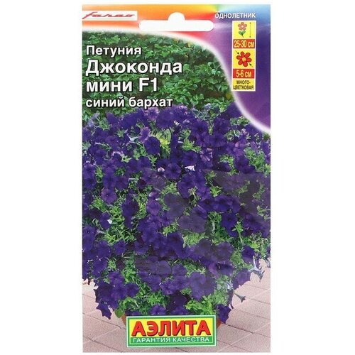 ���������� ������ ������� �������� ���� F1 ����� ������, 7 ��